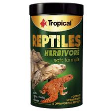 Reptile Heating and Lighting